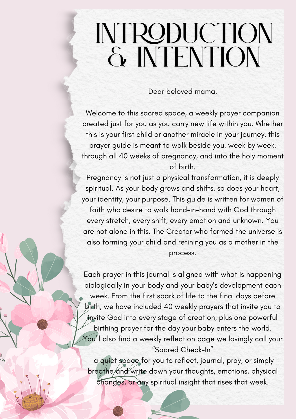 Heaven’s Timeline week by week preganacy prayer (Digital Download)
