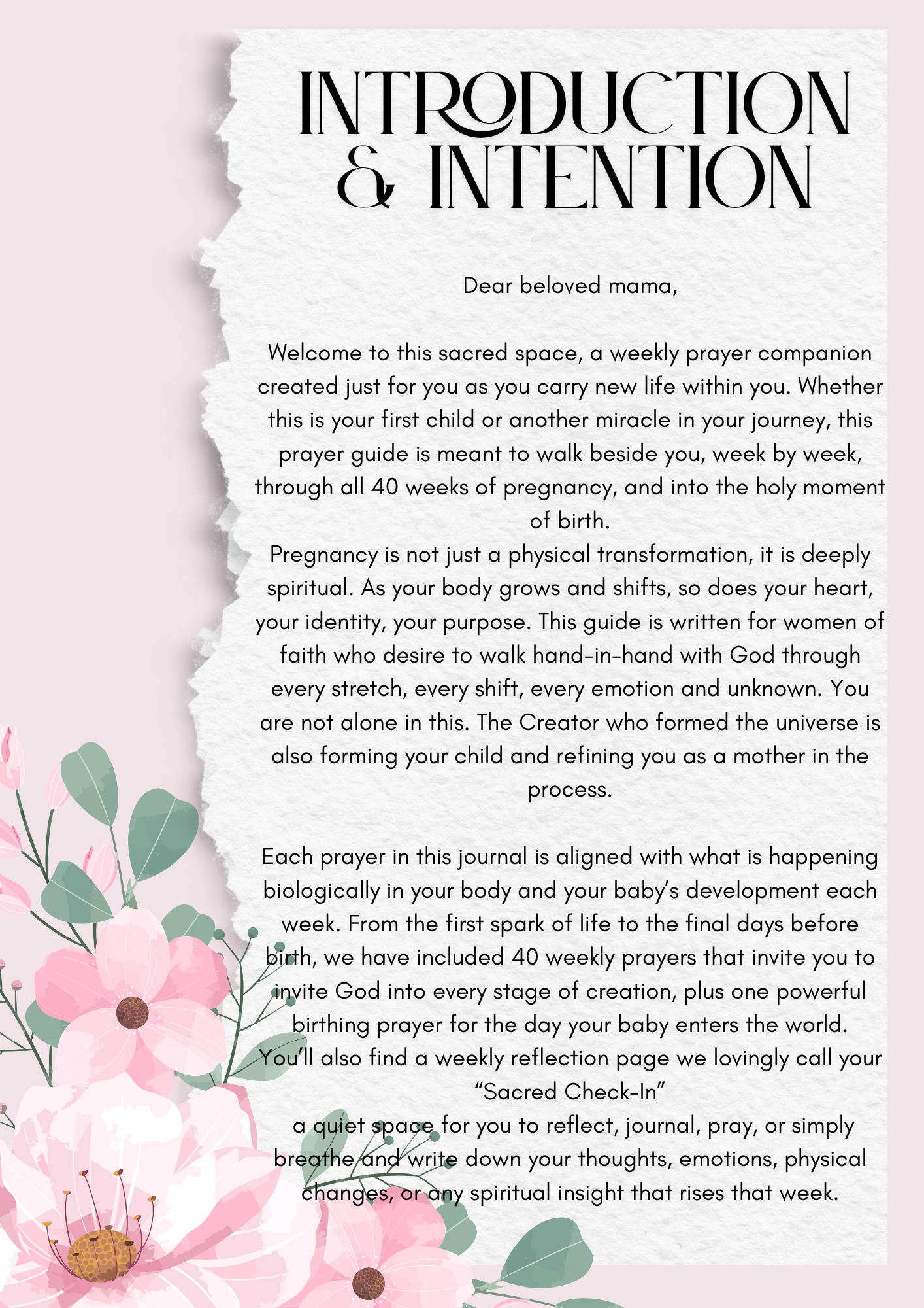 Heaven’s Timeline week by week preganacy prayer (Digital Download)