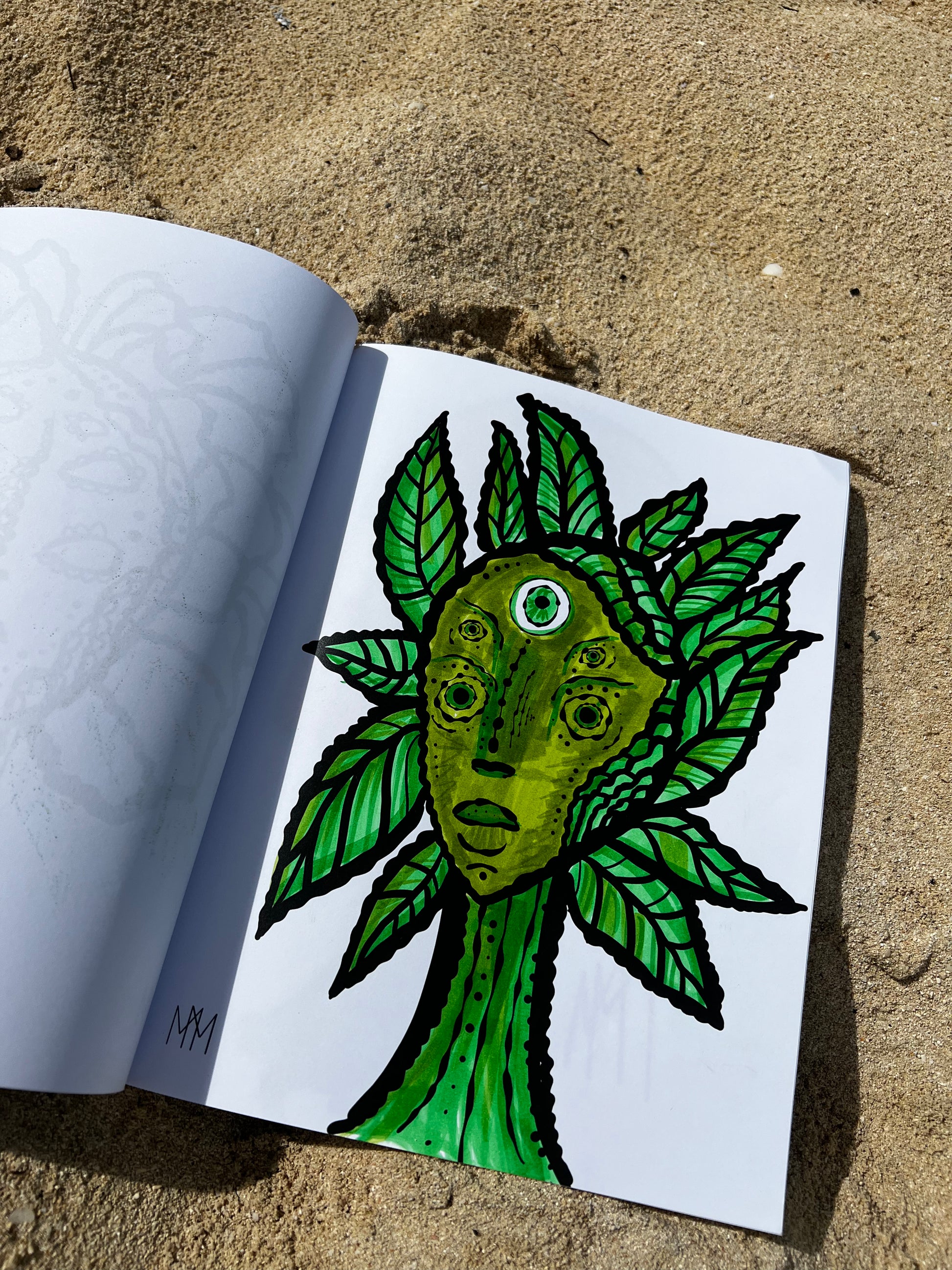 Lost in the MeyJeyverse: A Coloring Book