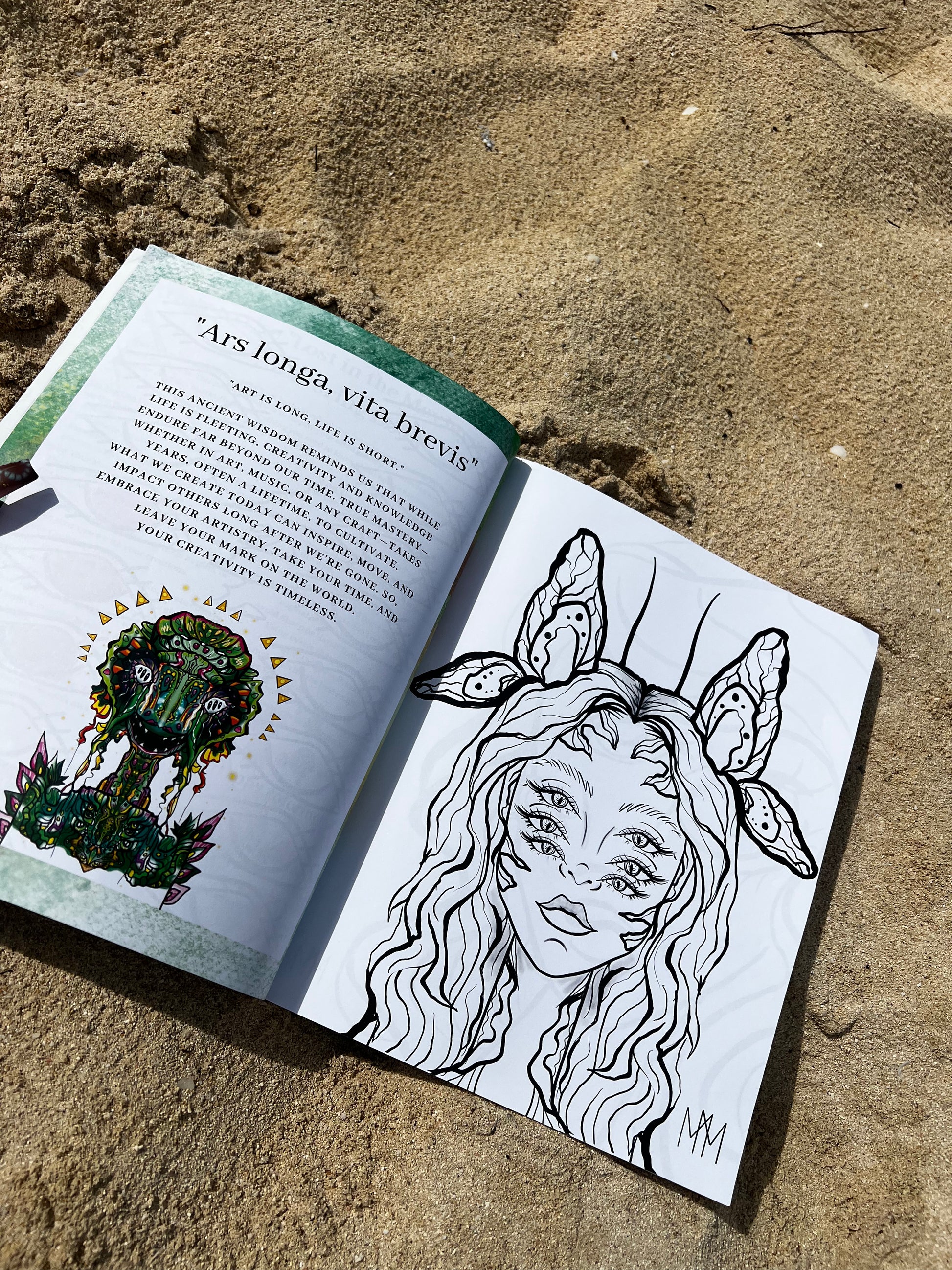 Lost in the MeyJeyverse: A Coloring Book