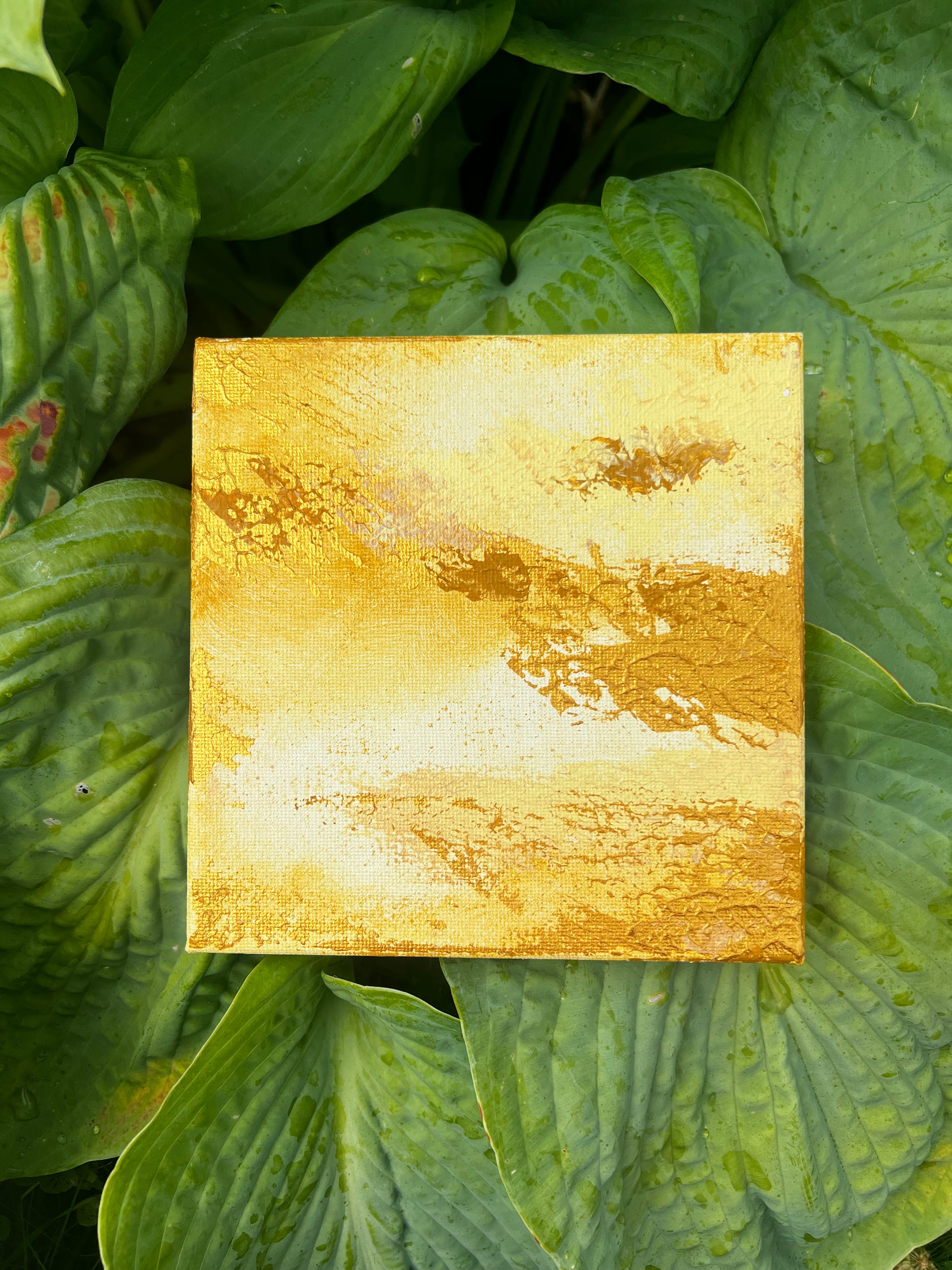 Sun 15x15