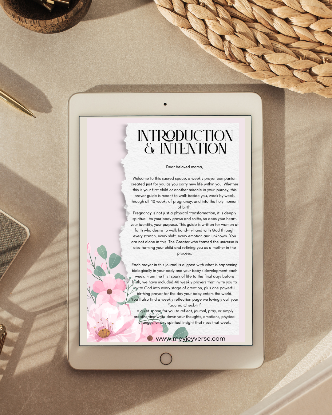 Heaven’s Timeline week by week preganacy prayer (Digital Download)